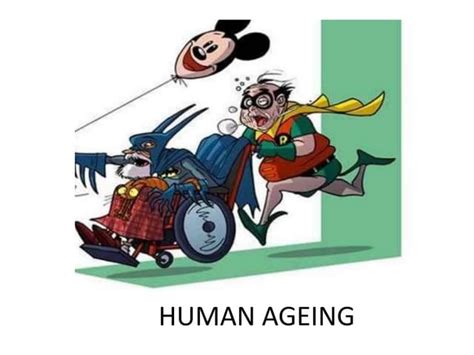 Ageing 的图像结果