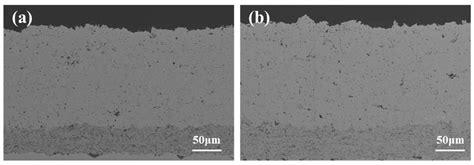 Damage Grading Evaluation of Thermal Barrier Coatings under CMAS Corrosion