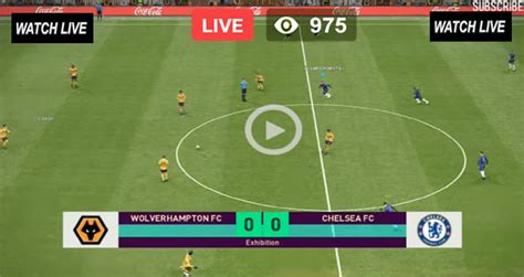 Image result for Wolves Live Stream