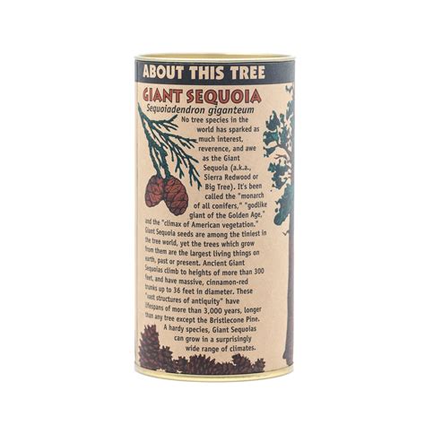 Giant Sequoia | Seed Grow Kit – SequoiaTrees.com