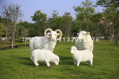 公园绵羊雕塑玻璃钢仿真动物 - 卓景雕塑公司