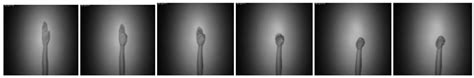 CNN Deep Learning with Wavelet Image Fusion of CCD RGB-IR and Depth ...