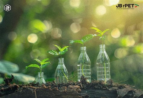 The Future of Plastic Recycling: Trends & Predictions for 2025