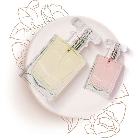 Image result for Diffusion Formula Body Spray