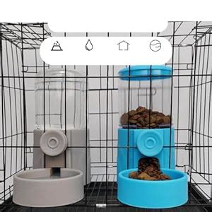 SECRET DESIRE Feeding Container Cat Dog Automatic Pet Feeder for ...