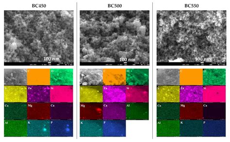 Potential Valorization of Waste Tires as Activated Carbon-Based ...