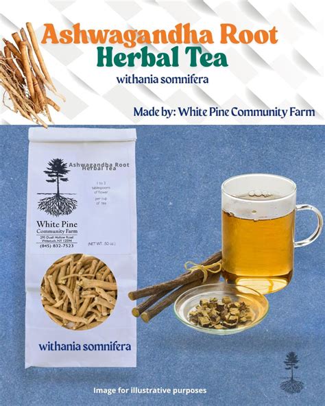 Ashwagandha Root Herbal Tea // Withania Somnifera - Etsy