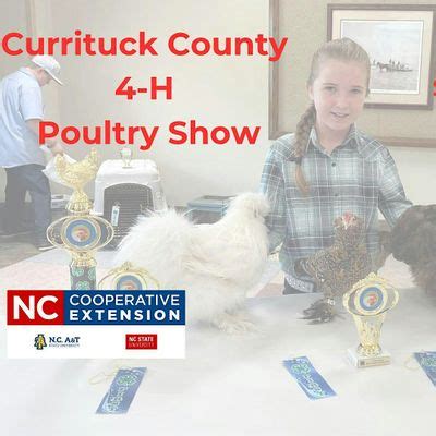 Currituck County 2024 Poultry Show, N.C. Cooperative Extension ...
