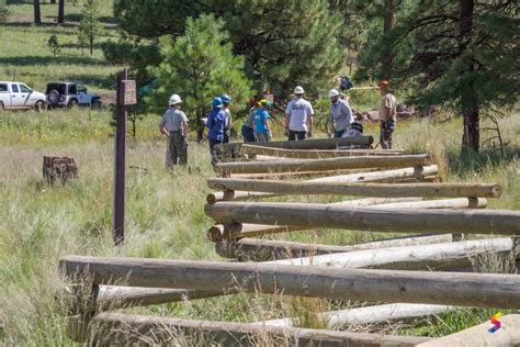 Define Rehabilitate, Rehabilitate Meaning, Rehabilitate Examples ...