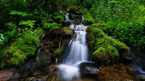 Download Paradise on Earth | Wallpapers.com