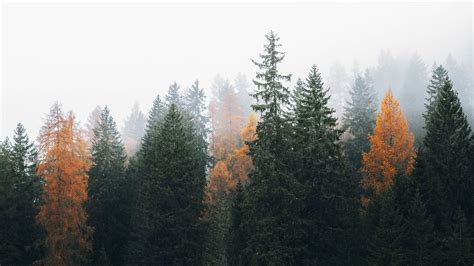 Image result for Delete JavaScript