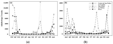 Reproductive Behavior of Trialeurodes vaporariorum (Westwood ...