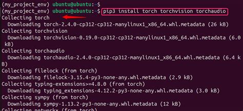 Image result for Pip Install Pytorch