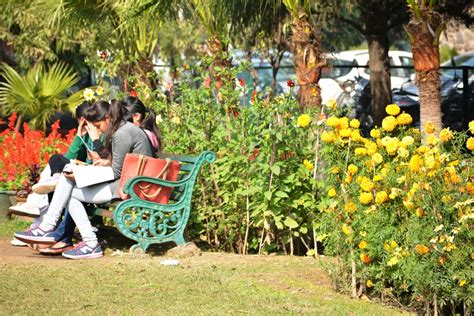 Post Graduate Government College | PGGC11