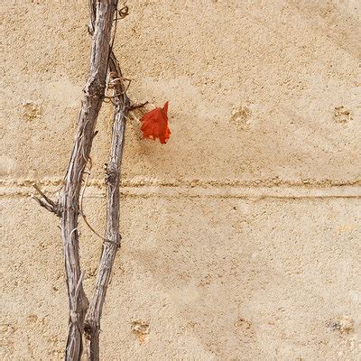 Rammed-Earth Walls: The Next Big Thing?