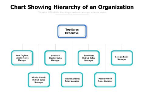 Organization Diagram 的图像结果