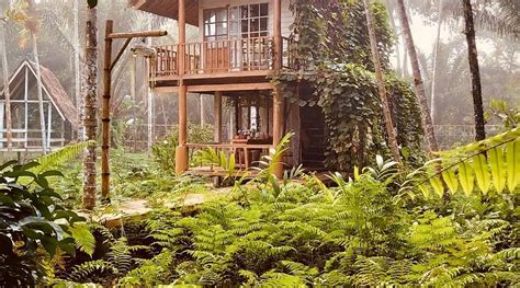 BANN RAI I ARUN (Kapoe) - Lodge Reviews & Photos - Tripadvisor