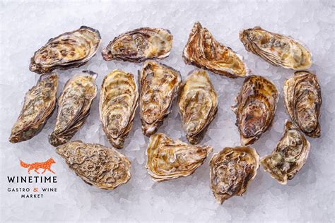 What are oysters and how do they differ?