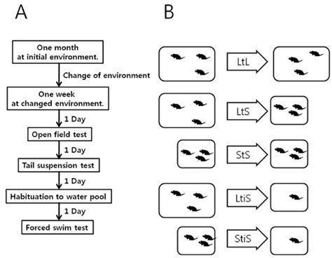 Behavior Experiment 的图像结果