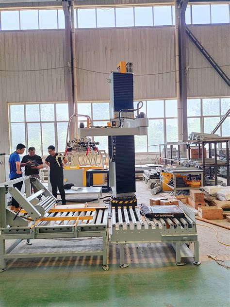 Image result for Palletizer Machine Types