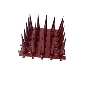 SPIKESTORE Pack of 10 Bird Spikes for AC/Balcony/Balustrades Protect ...