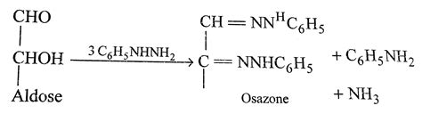 Glucose molecule reacts with `X` number of molecules of phenylhydrazine ...