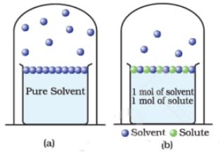Vapour Pressure of Liquid Solutions - Class 12 PDF Download