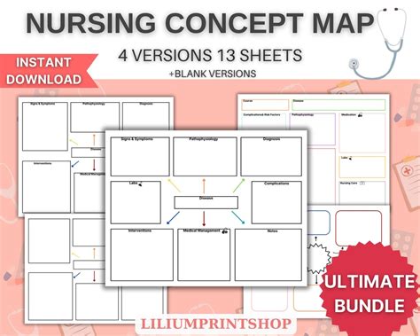 Free Nursing Concept Maps 的图像结果