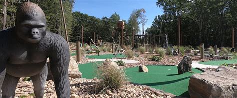 GORILLA GROVE TREETOP ADVENTURES (2025) All You Need to Know BEFORE You ...