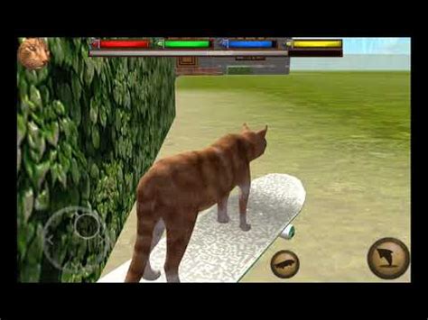 Image result for Ultimate Cat Simulator Tips