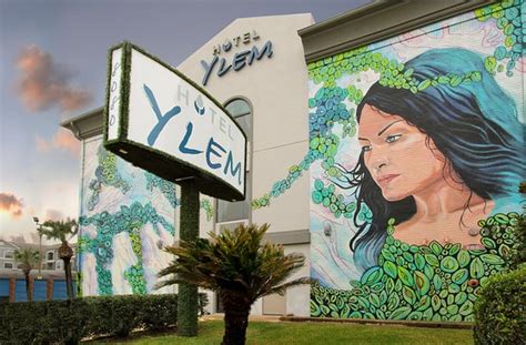 HOTEL YLEM (Houston) - Hotel Reviews, Photos, Rate Comparison - Tripadvisor