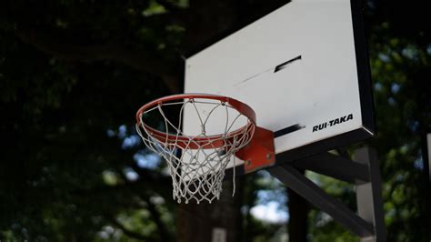 Basketball Hoop Net 的图像结果