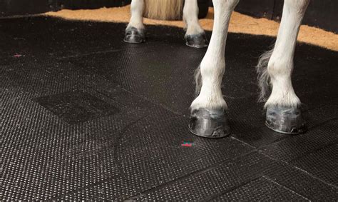 EQUINE RUBBER FLOORING – Rubber future
