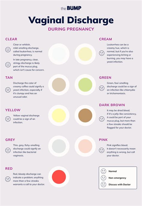 Normal Vaginal Discharge 的图像结果