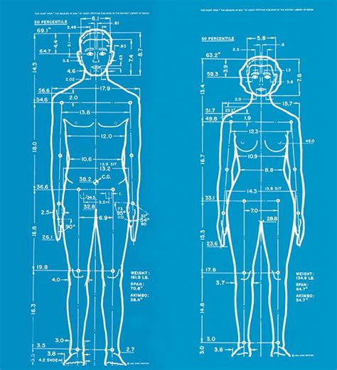 Image result for Humanscale Chart
