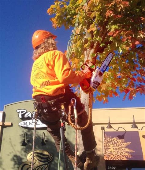 Image result for Landscape Contractor