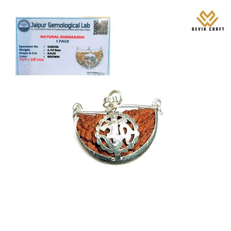 1 Mukhi Rudraksha Pendant - Natural & Lab Certified in OM Shape ...