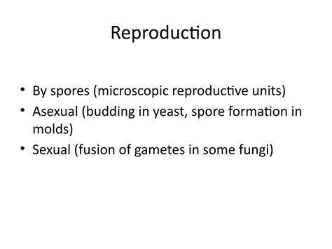 Fungi_ppt_123456789012345678901234567890 | PPTX