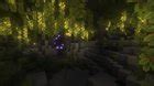 Image result for Offhand Torchlight Minecraft