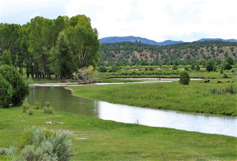 Fish Utah -- Division of Wildlife Resources