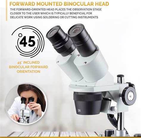 AmScope Binocular Stereo Microscope, 40X India | Ubuy