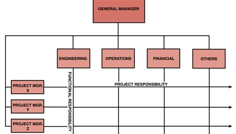 Balanced Matrix Organizational Structure 的图像结果