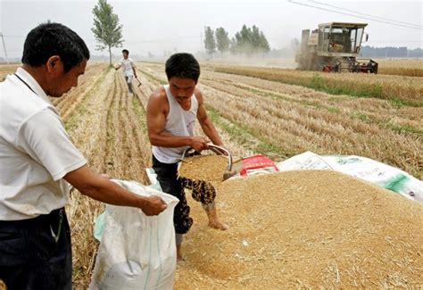对实际种粮农民这些人，发放一次性补贴200亿元！_腾讯新闻