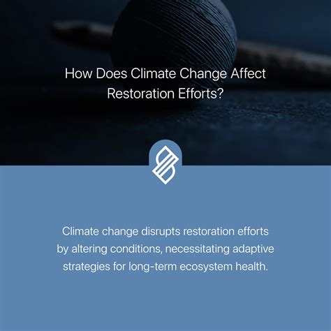 How Does Climate Change Affect Culture? → Question