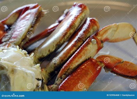 Dungeness Crab Legs stock photo. Image of meat, culinary - 92996468