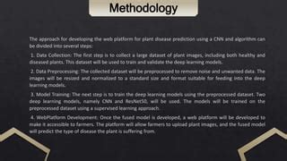 Programming Tools for Plant Disease Prediction Using CNN 的图像结果
