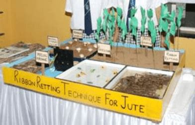 CBSE Science Projects 的图像结果