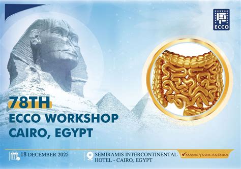 ECCO Educational workshop, Cairo , Semiramis Intercontinental Hotel ...