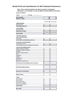 Independent Contractor Profit And Loss Statement Template | pdfFiller