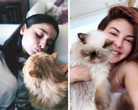 Things To Keep In Mind While Travelling With Your Pet | Femina.in